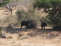 Marion, Romane South Africa 2014 (45 of 63) : KNP Olifants area, Marion visit